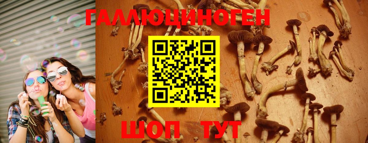 Псилоцибиновые грибы MAGIC MUSHROOMS  Вход с VPN  Боровичи 